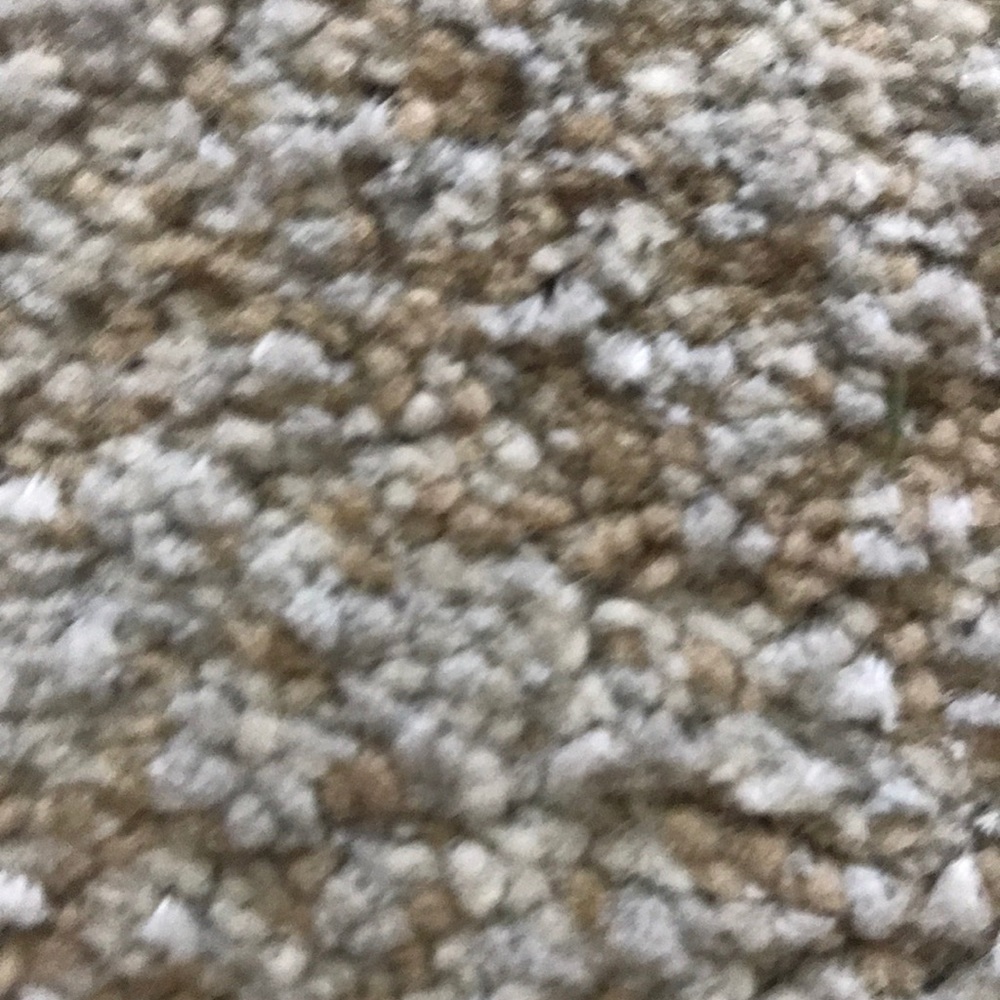 Meet your Posher, Ana